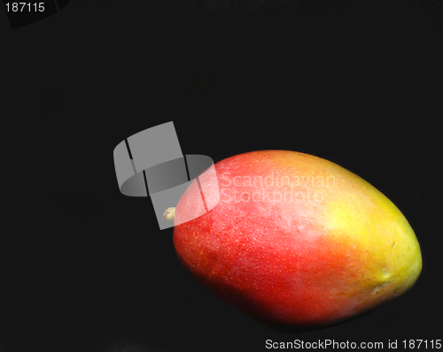 Image of Mango