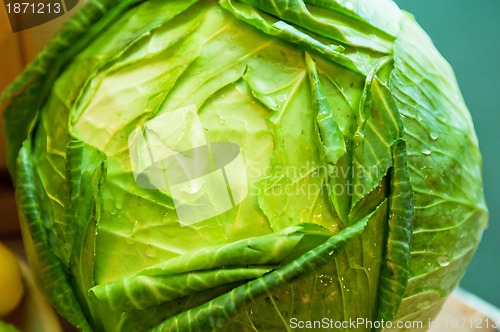 Image of cabbage