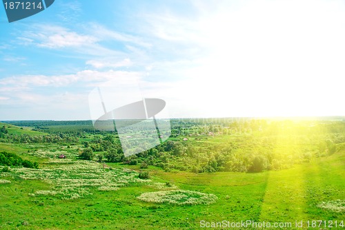 Image of summer landscape