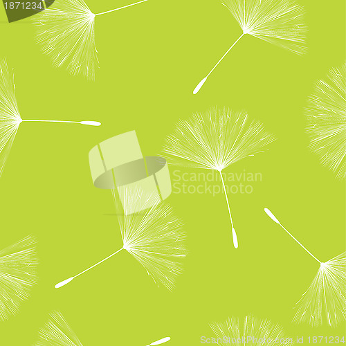 Image of Dandelion seeds pattern