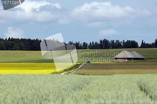 Image of field, cottage and dirt track trough agricultural land