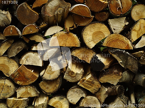 Image of fire wood pile