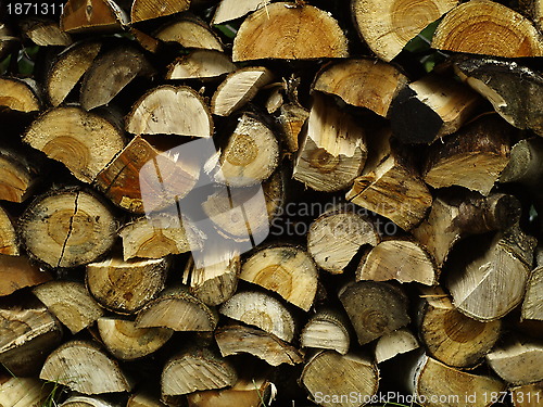 Image of fire wood pile