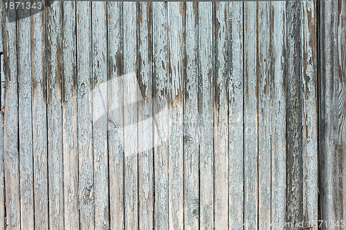 Image of grungy white background of natural wood