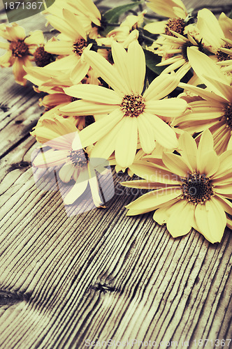 Image of Yellow Flowers - Vintage Look