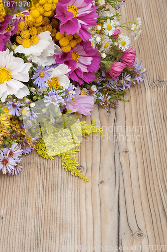 Image of Wild Summer Flowers