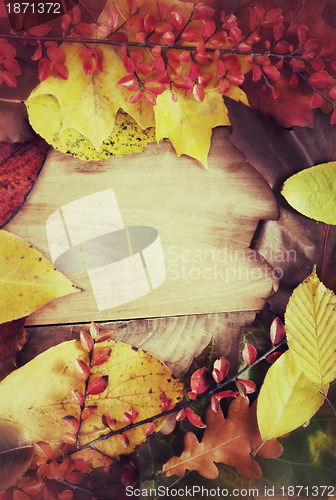 Image of Autumn Background