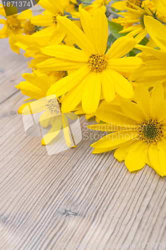 Image of Yellow Flowers