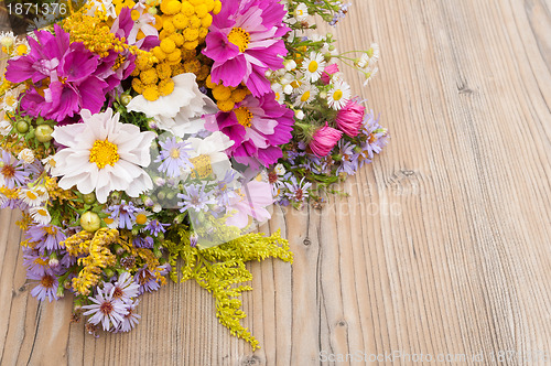 Image of Wild Summer Flowers