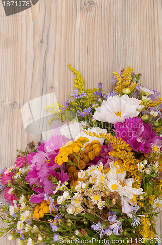 Image of Wild Summer Flowers