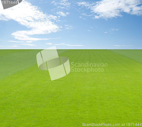 Image of Green field under blue sky with clouds