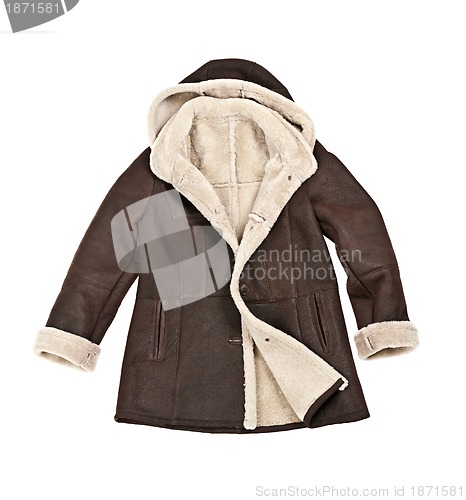 Image of Sheepskin winter coat
