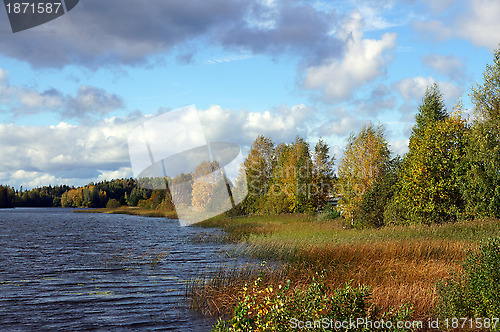 Image of Autumn landscape