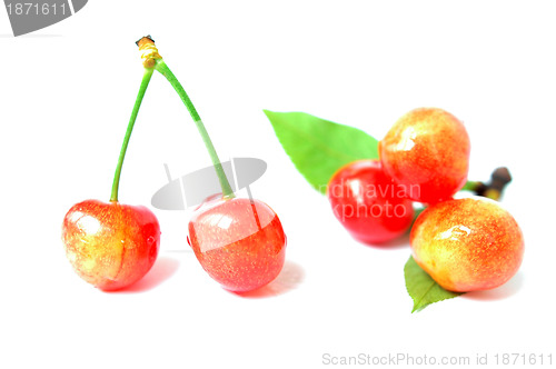 Image of Cherry fruits