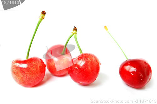 Image of Cherry fruits