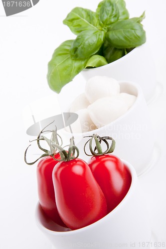 Image of tasty tomatoe mozzarella salad with basil on white 