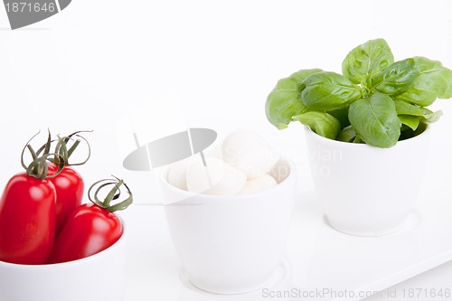 Image of tasty tomatoe mozzarella salad with basil on white 