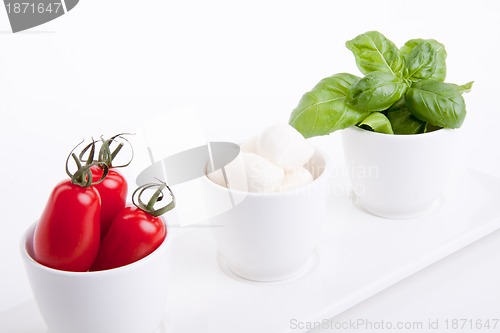 Image of tasty tomatoe mozzarella salad with basil on white 