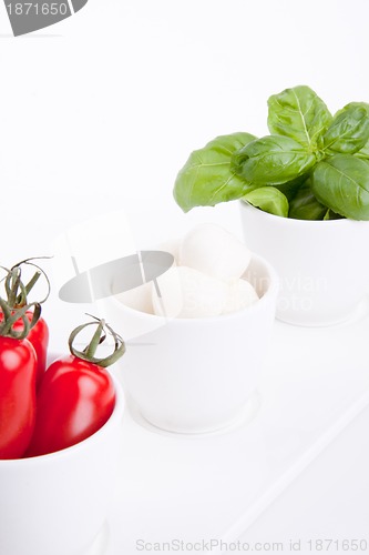 Image of tasty tomatoe mozzarella salad with basil on white 