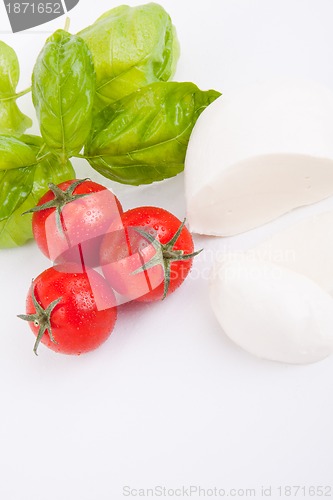 Image of tasty tomatoe mozzarella salad with basil on white 