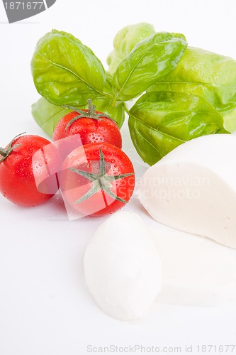 Image of tasty tomatoe mozzarella salad with basil on white 