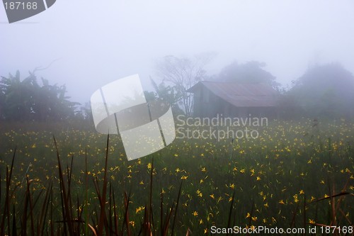 Image of Foggy Countryside