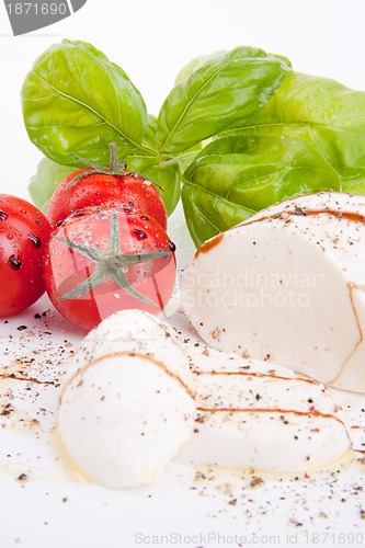 Image of tasty tomatoe mozzarella salad with basil on white 