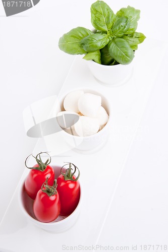 Image of tasty tomatoe mozzarella salad with basil on white 