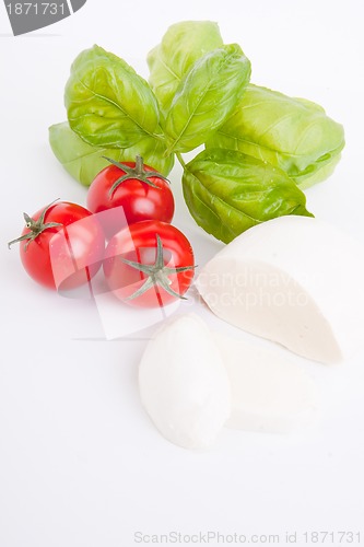 Image of tasty tomatoe mozzarella salad with basil on white 