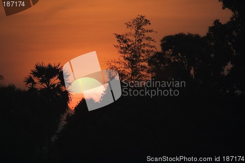 Image of Sunrise