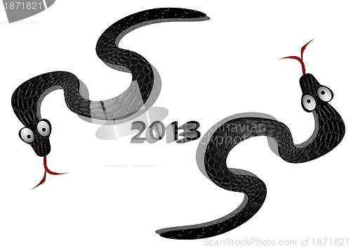 Image of two black snakes