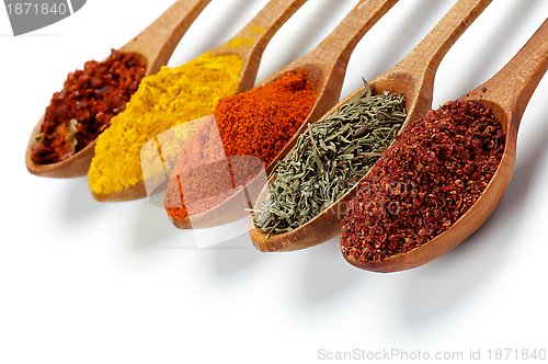 Image of Spicy Spices