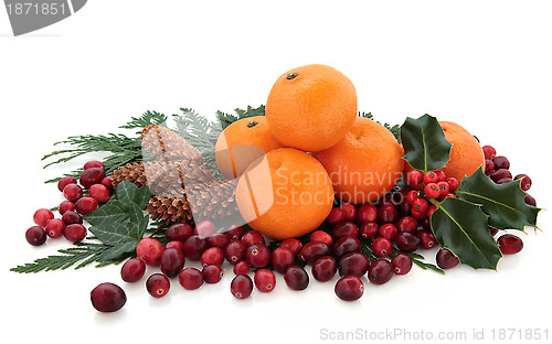 Image of Mandarin and Cranberry Fruit