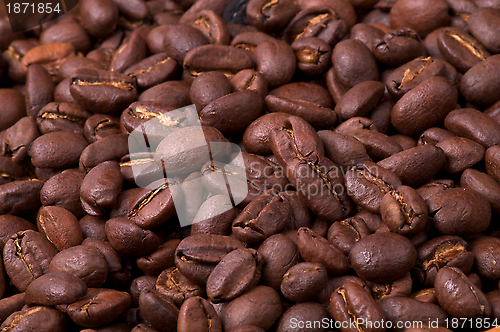 Image of Background of Coffee Beans