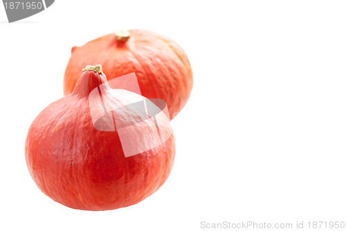 Image of Pumpkins isolated