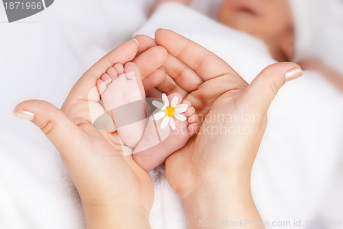 Image of Lovely infant foot with little white daisy