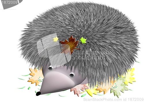 Image of prickly hedgehog