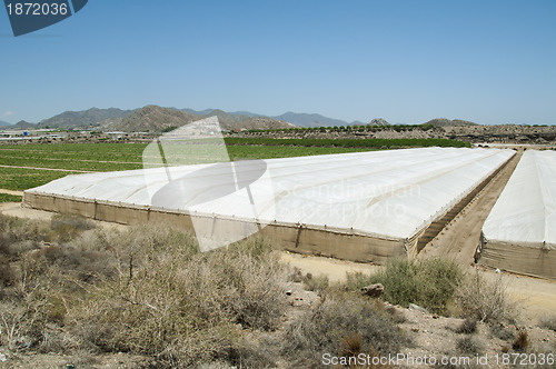 Image of Rural landscape with cultivation in greenhouse