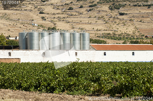 Image of Vineyards and winery factory