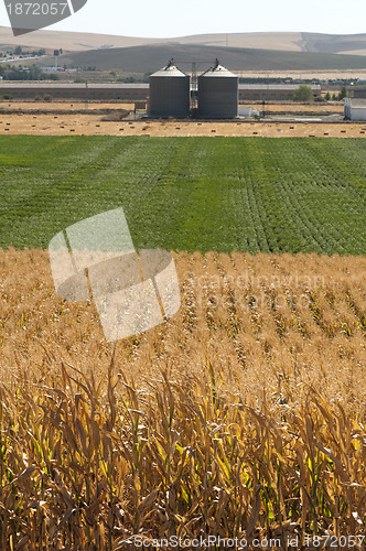 Image of Corn plantation and processing plant factory