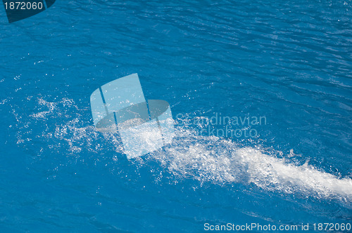 Image of Running water in Swimming pool 
