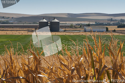 Image of Corn plantation and processing plant factory