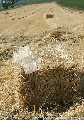 Image of Bale of straw