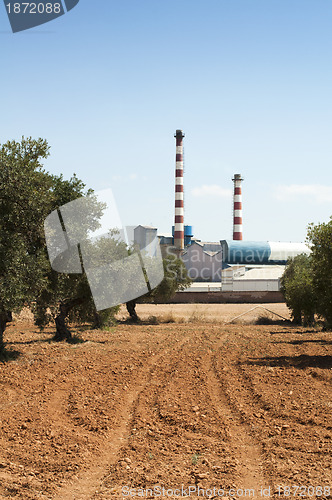 Image of Olive trees and factory