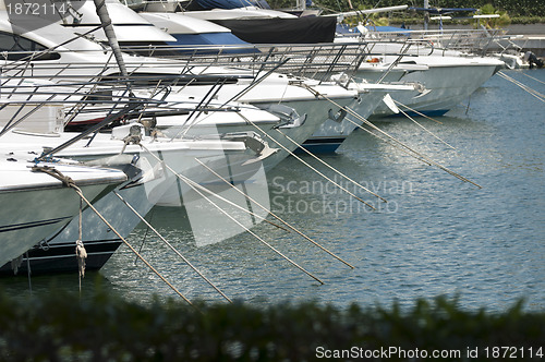 Image of Yachts moored in marina