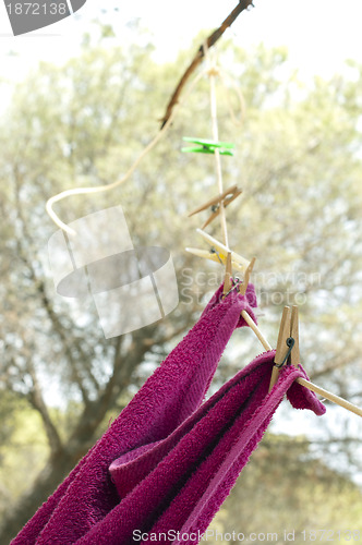 Image of Clothes dryer on tree branch