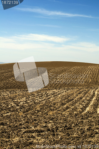 Image of Agricultural land soil and blue sky