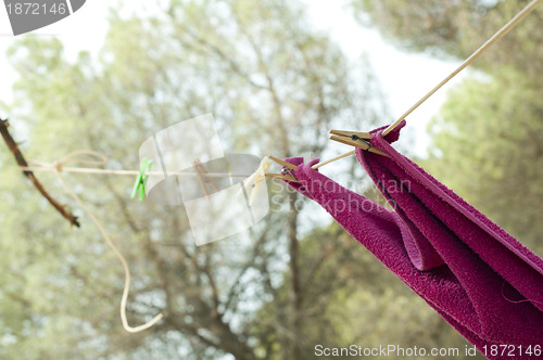 Image of Clothes dryer on tree branch