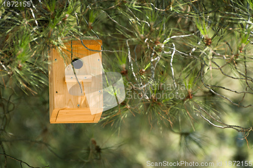 Image of Wooden house for the birds