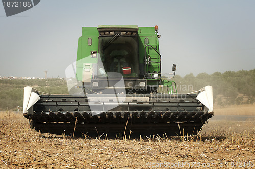 Image of Harvester reaps sunflowers